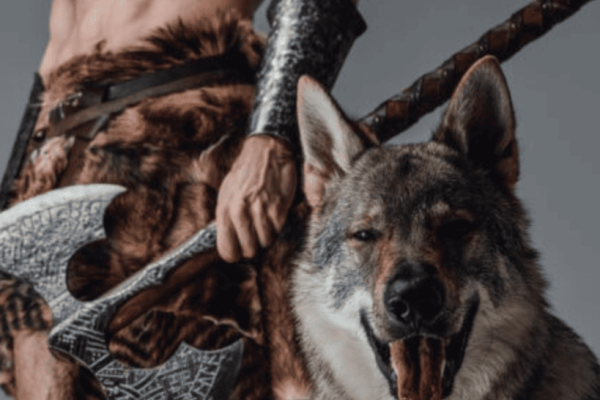 Over 200 Badass Viking Dog Names for Your Fierce Companion
