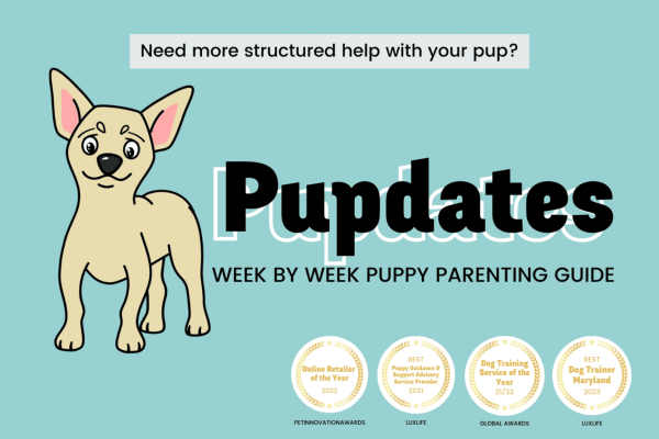 The Toughest 25 Dogs To Potty Train